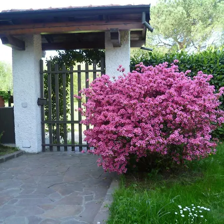 Airone Appartamento Monvalle